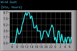 Wind Gust (kts, hours)