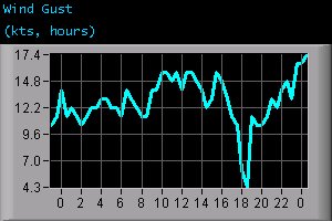 Wind Gust (kts, hours)